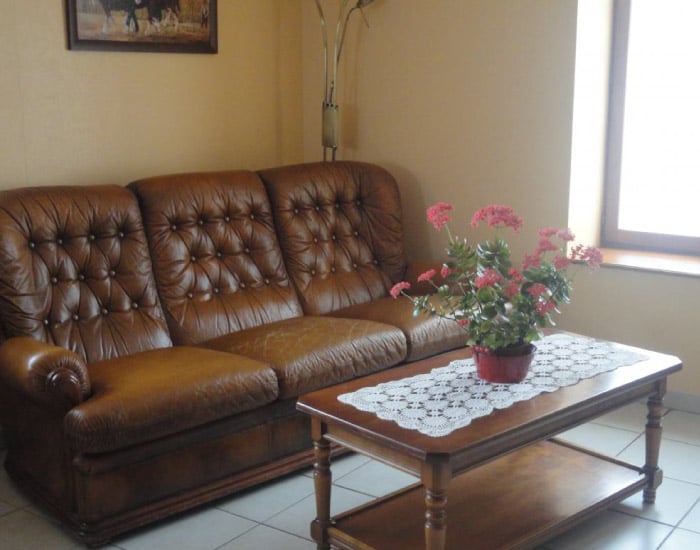 Salon confortable avec canapé Chesterfield en cuir marron tufté, table basse en bois, plante à fleurs roses et fenêtre lumineuse.