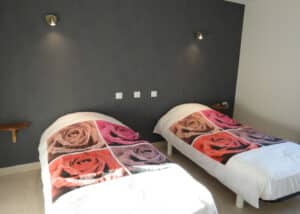 Deux lits jumeaux avec housses de couette à motifs de roses colorées devant un mur gris foncé, équipés de spots muraux et étagères.