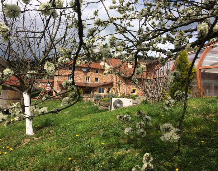 Maison en pierre avec serre et unité de climatisation, au milieu d'un jardin printanier fleuri. Branches blanches d'arbre en fleurs au premier plan.